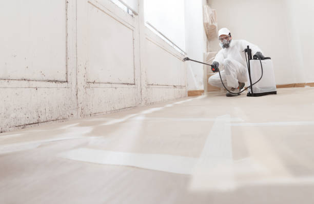 24/7 Emergency Mold Remediation experts in Iselin, NJ