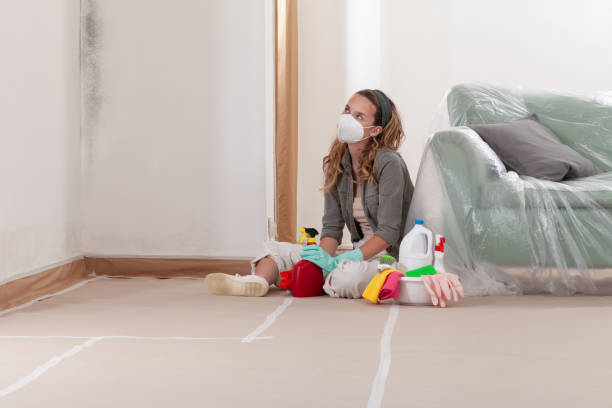 Reliable Mold Remediation contractor in Iselin, NJ by Mold Remediation HQ